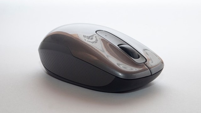 Mouse Detection