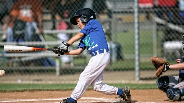 Baseball Bat Detection