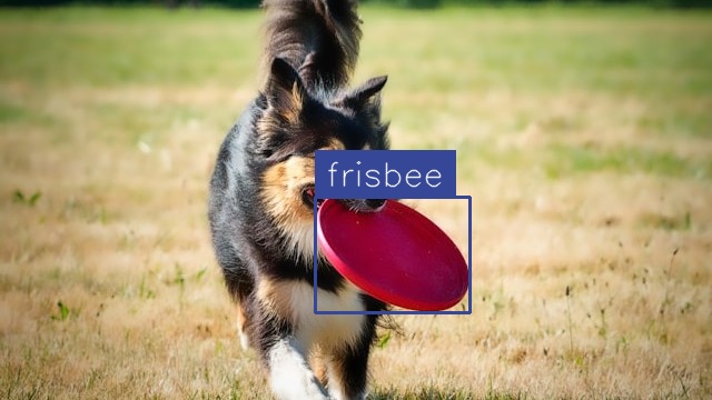 Frisbee Detection (after)