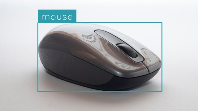 Mouse Detection (after)