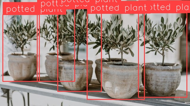 Potted Plant Detection (after)