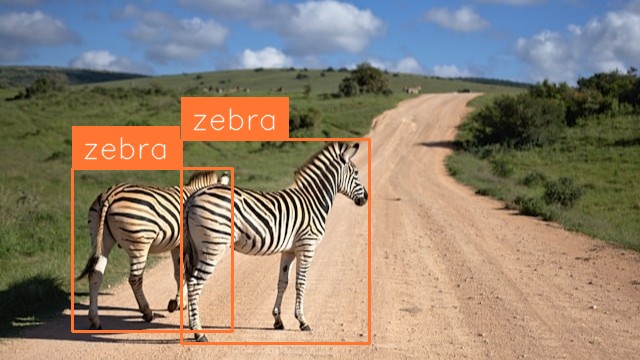Zebra Detection (after)