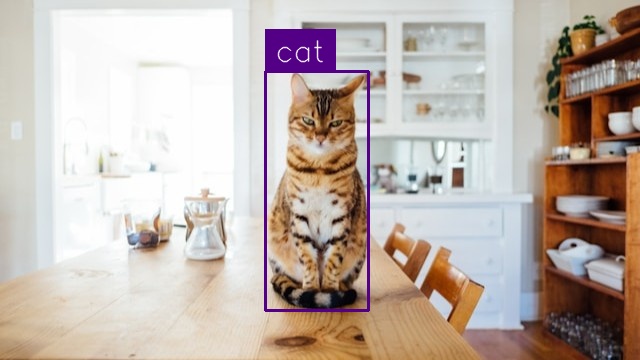 Cat Detection (after)