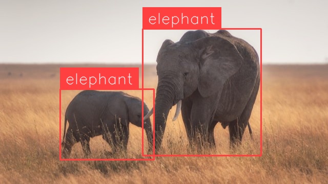 Elephant Detection (after)