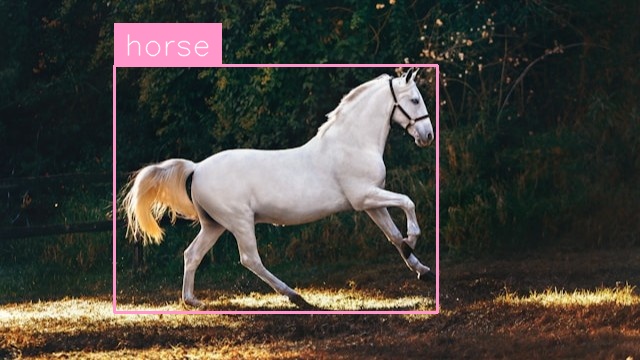 Horse Detection (after)