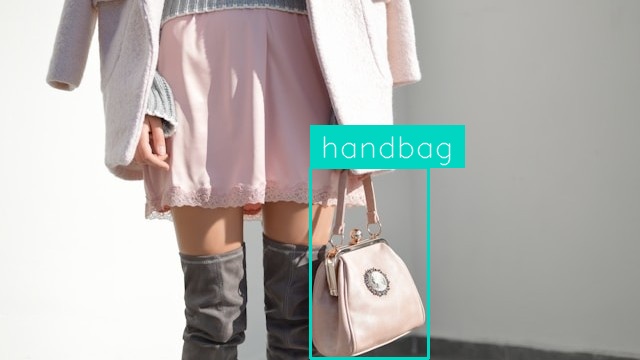 Handbag Detection (after)