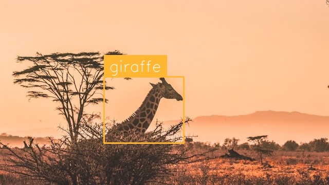 Giraffe Detection (after)