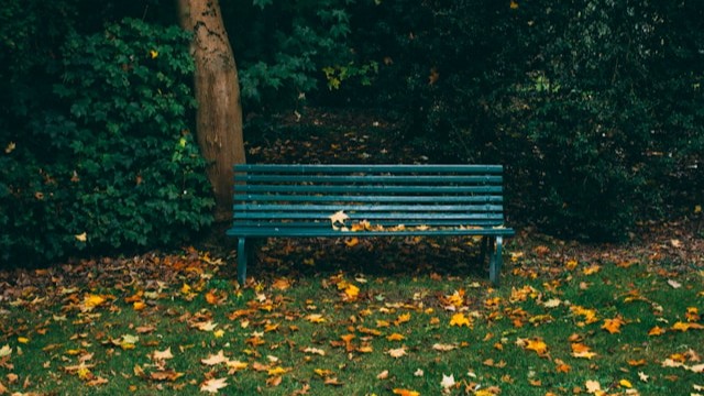Bench Detection