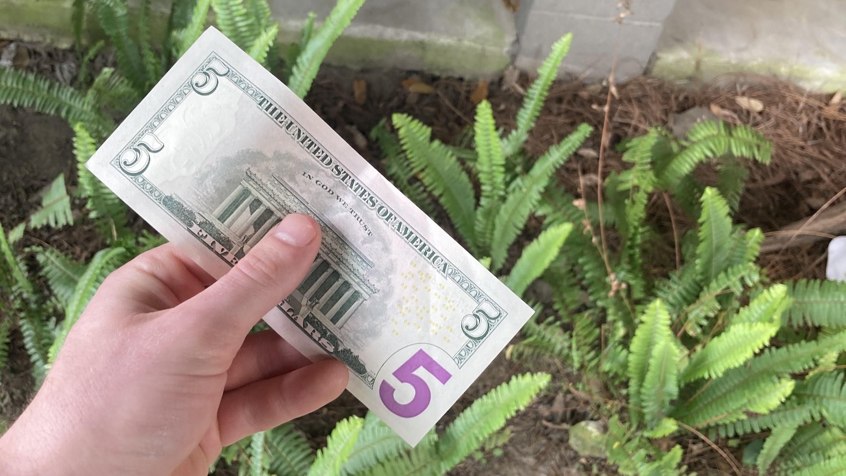 Money Detection