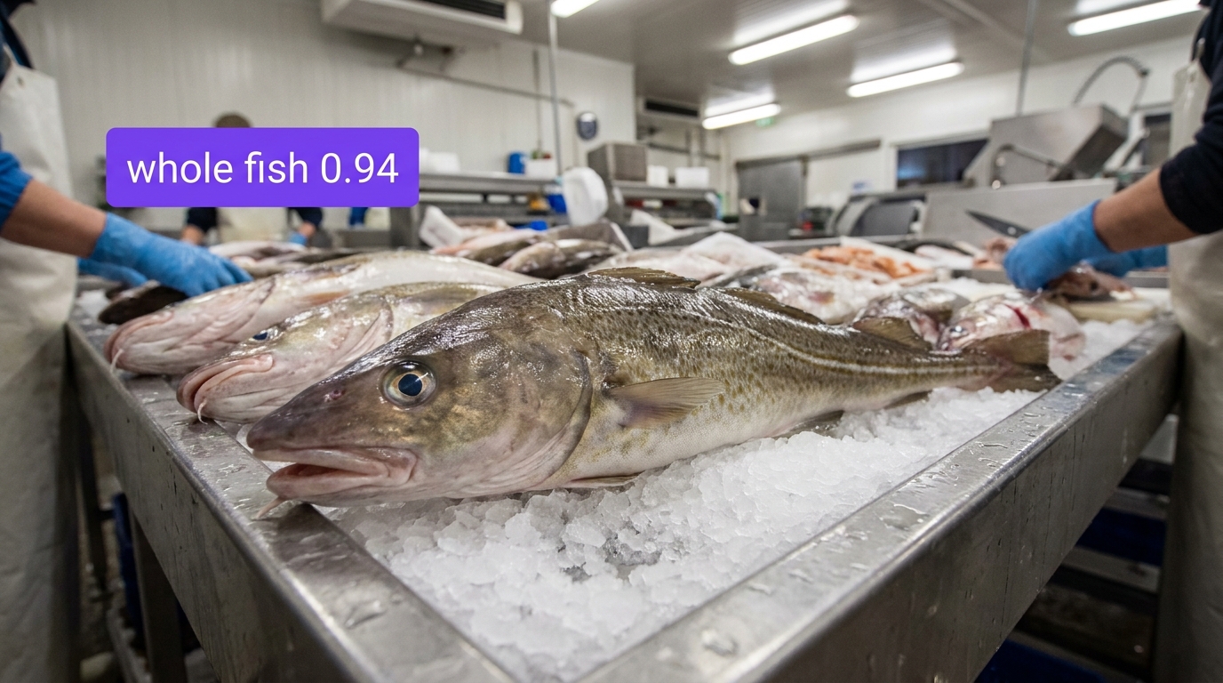 Fish freshness classification example
